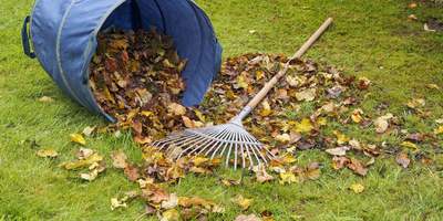 Spring And Fall Clean-Up