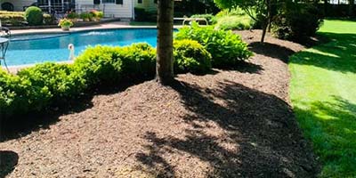 Mulching