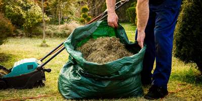 Leaf Removal